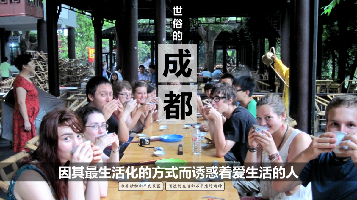 成都三星镇城乡一体发展实践区“天府田园”项目策划_第6页