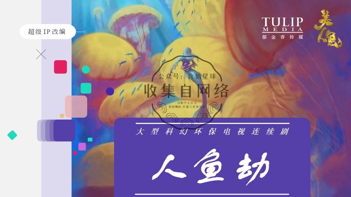 电视剧《人鱼劫》项目策划案_第1页