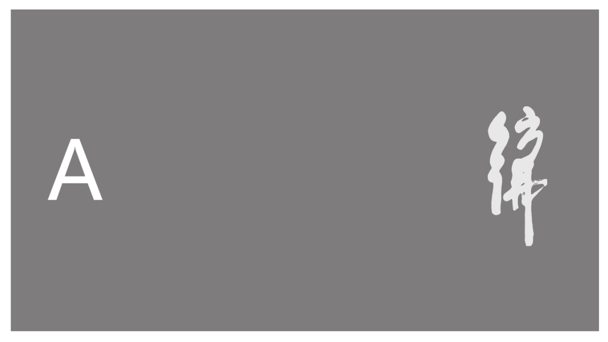 仿佛秀项目计划书12.12_第3页