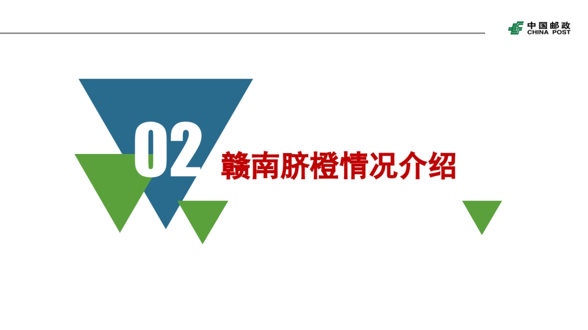 江西赣南脐橙销售项目介绍_第5页
