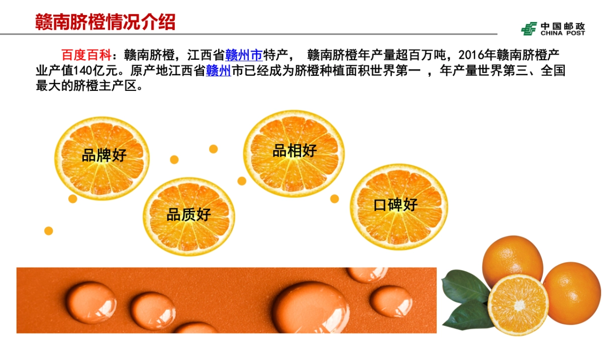 江西赣南脐橙销售项目介绍_第6页