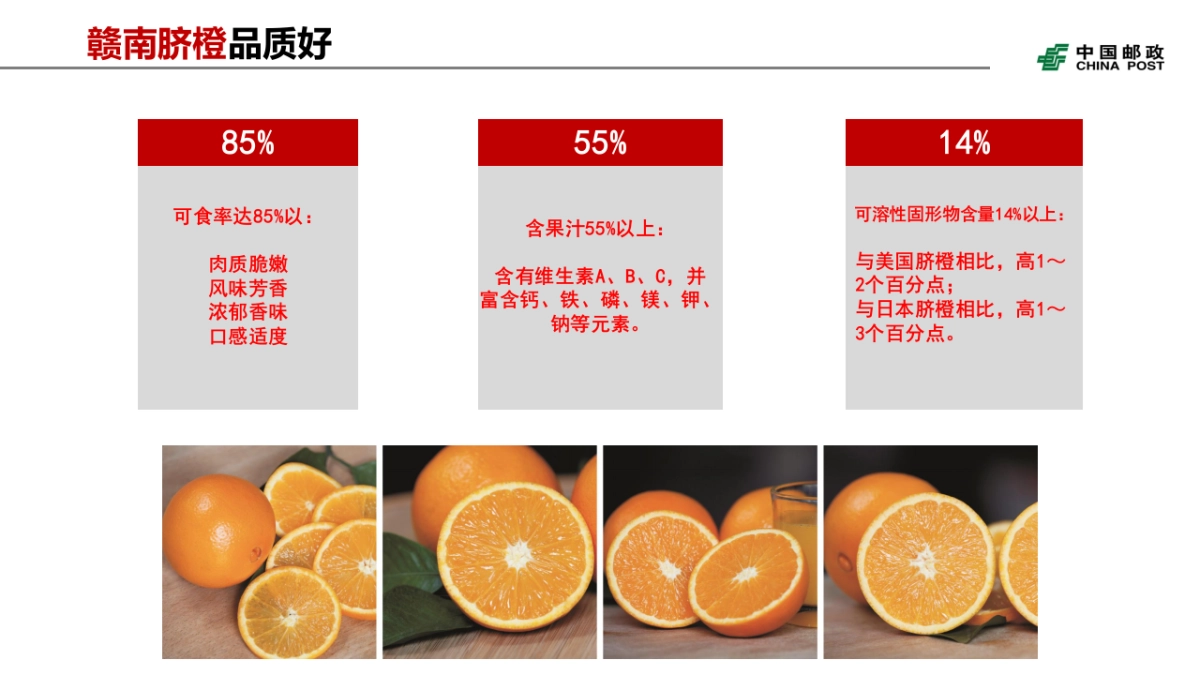 江西赣南脐橙销售项目介绍_第8页