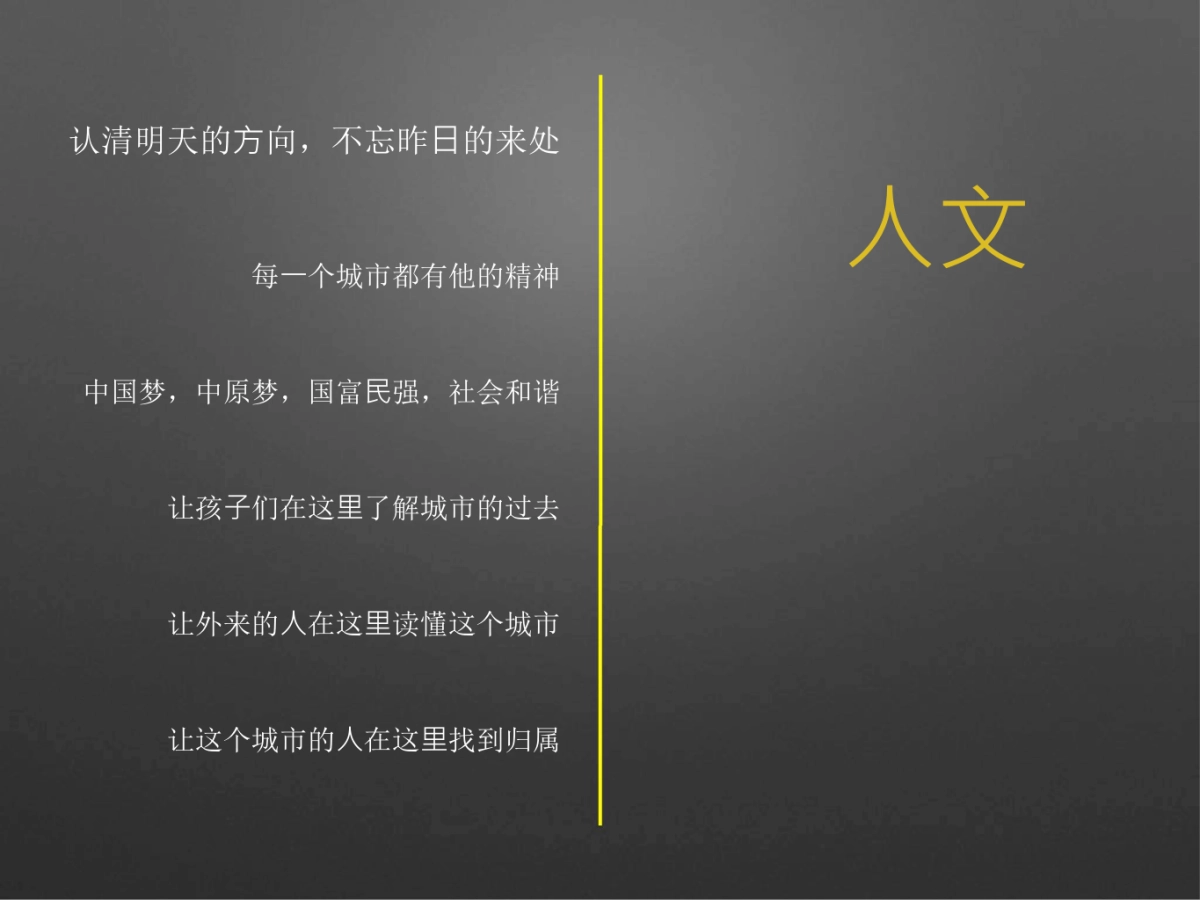 青铜骑士-信阳北湖别墅项目提报_第10页