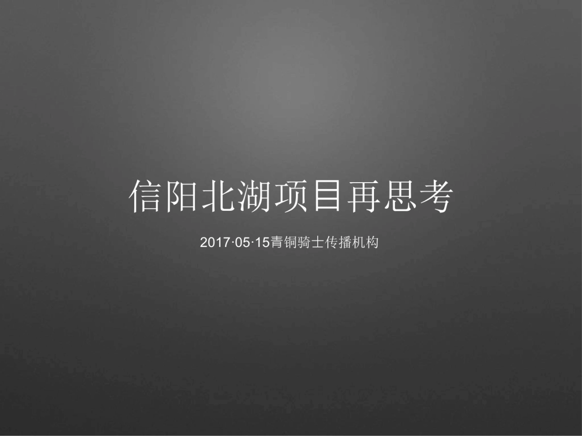 青铜骑士-信阳北湖别墅项目提报_第2页