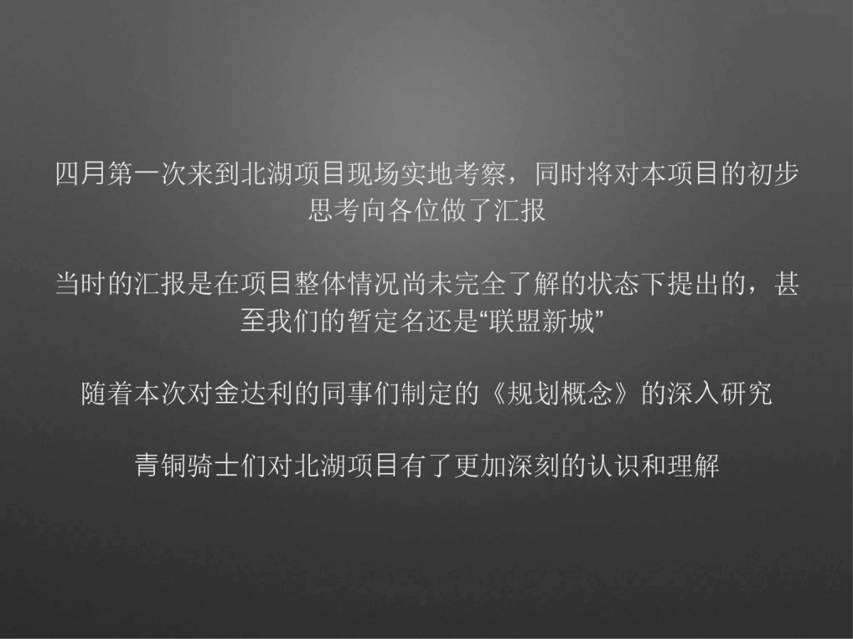 青铜骑士-信阳北湖别墅项目提报_第3页