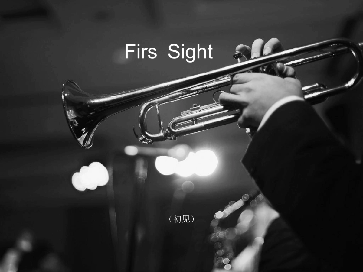 青铜骑士-信阳北湖别墅项目提报_第4页