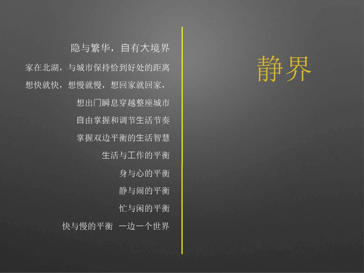 青铜骑士-信阳北湖别墅项目提报_第6页