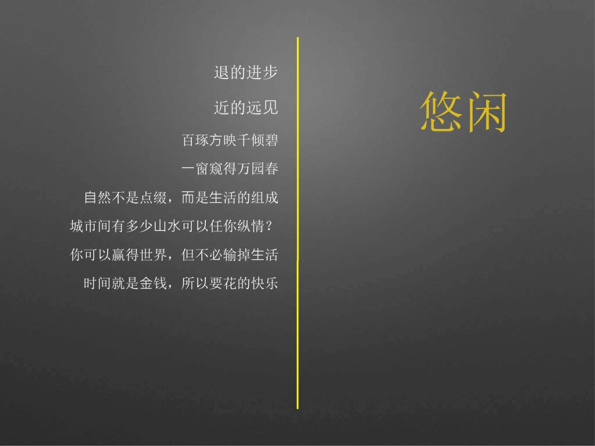 青铜骑士-信阳北湖别墅项目提报_第8页