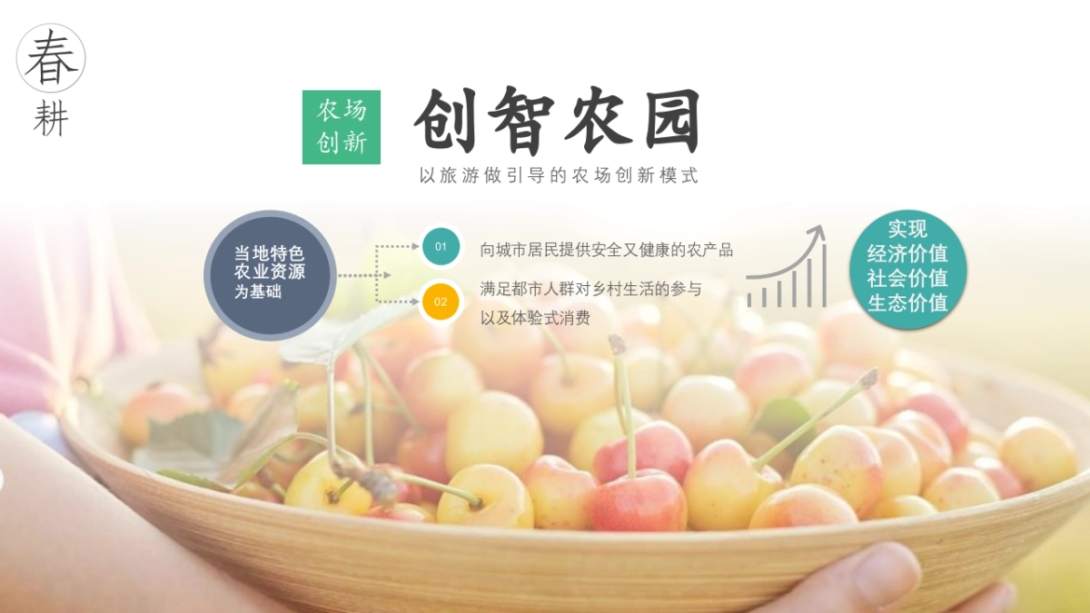 湿地露营地文旅项目年度策划方案_第6页