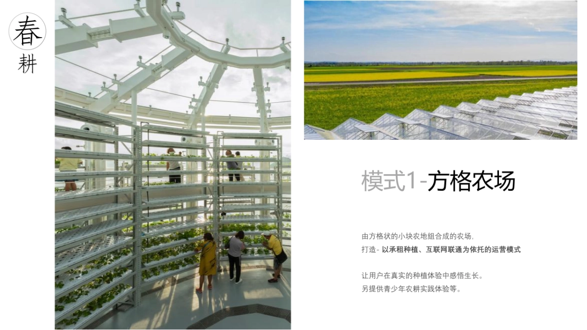 湿地露营地文旅项目年度策划方案_第7页