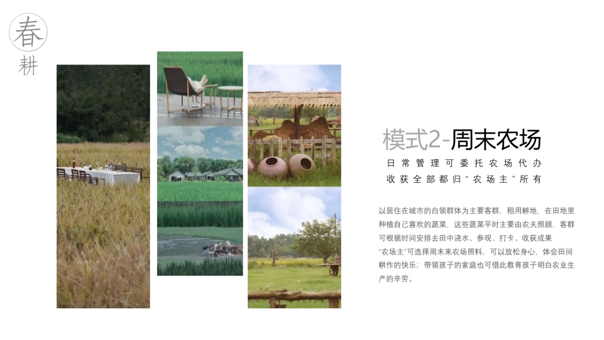 湿地露营地文旅项目年度策划方案_第8页