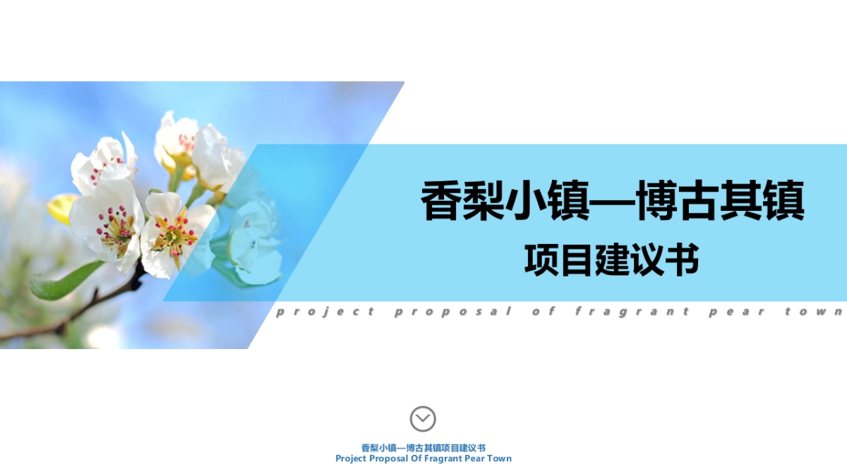 香梨小镇项目建议书_第1页