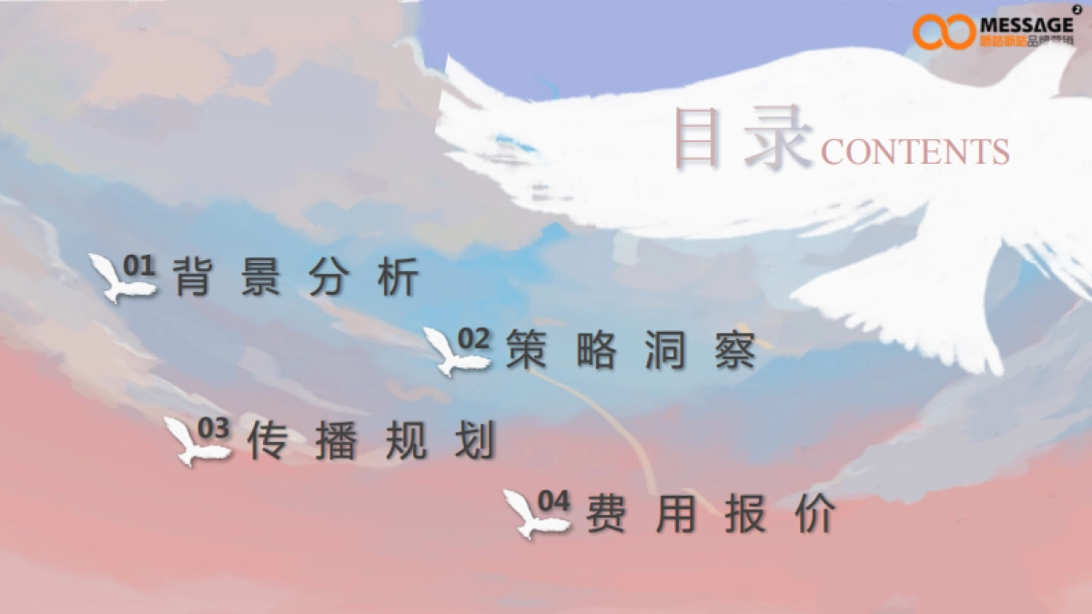 99公益日任鸟飞”项目推广传播项目简版_第3页