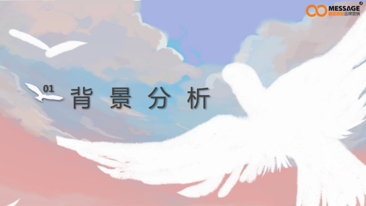 99公益日任鸟飞”项目推广传播项目简版_第4页