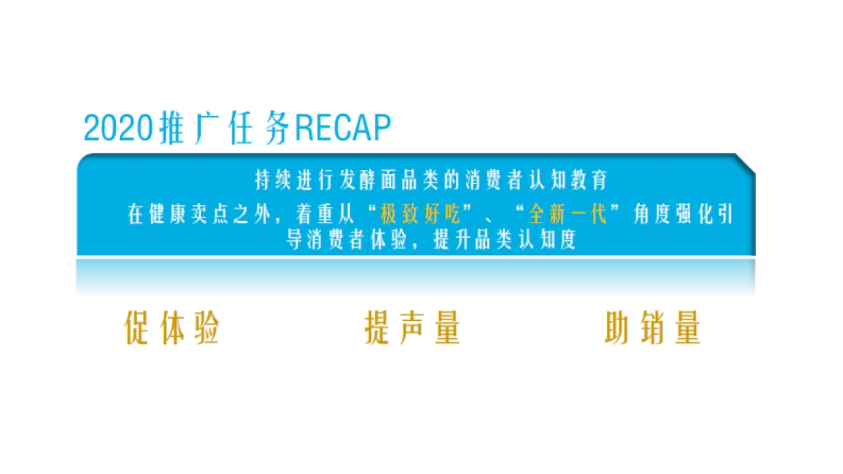 2020金龙鱼优+活性发酵面年度推广规划_第3页