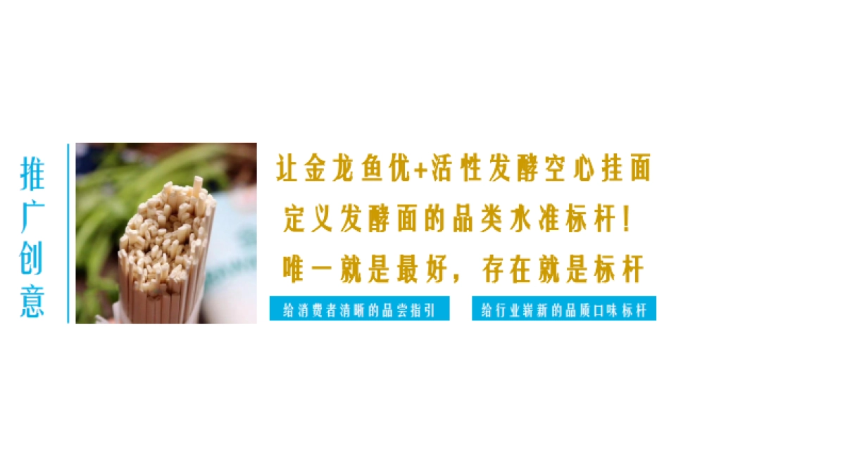 2020金龙鱼优+活性发酵面年度推广规划_第9页