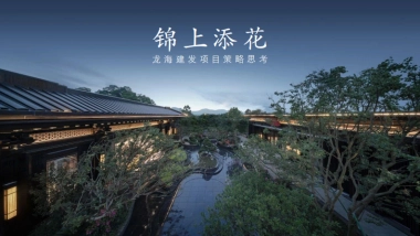 2020漳州龙海建发推广策略方案（新中式）