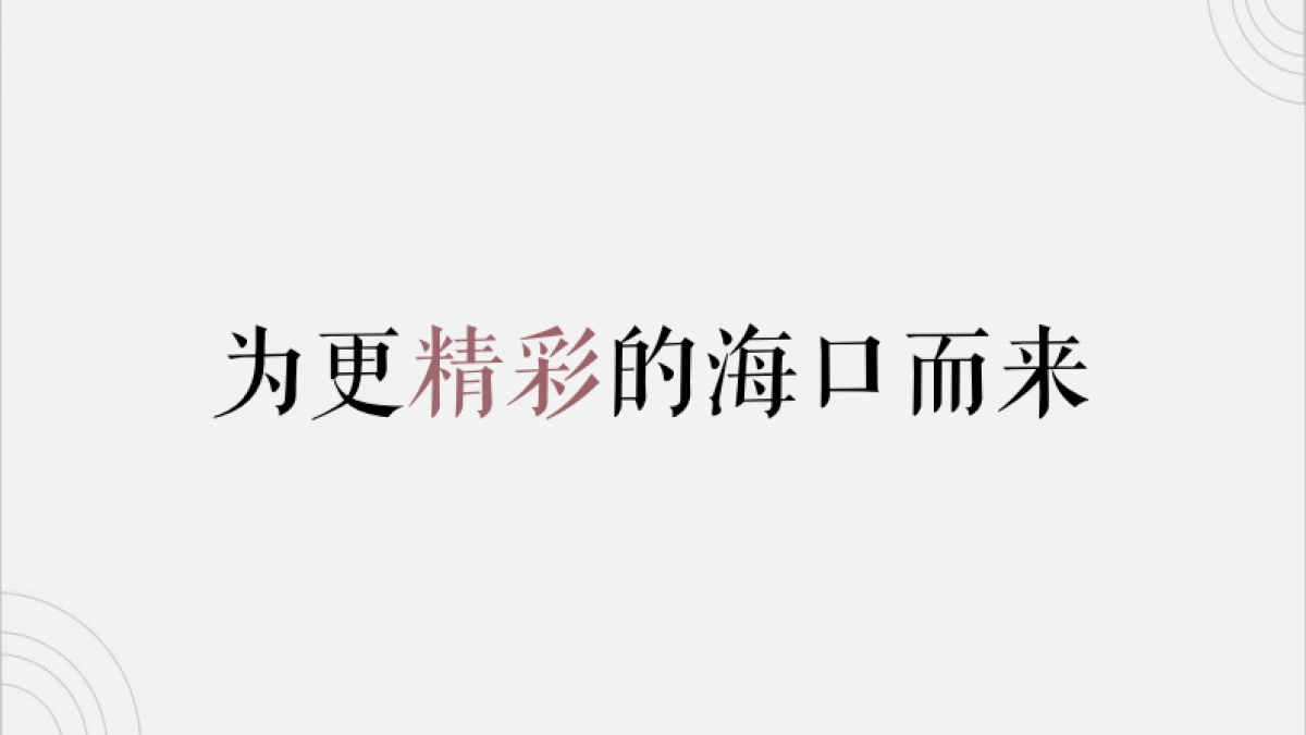 2021华彩海口湾广场综合体推广提报_第2页