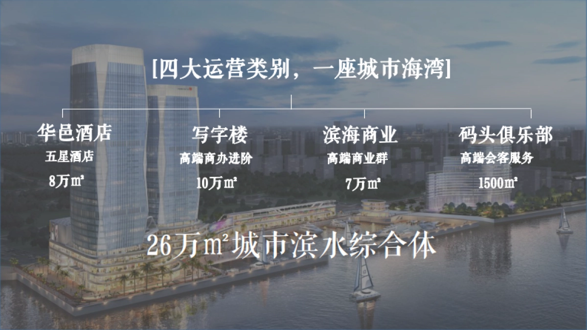 2021华彩海口湾广场综合体推广提报_第4页