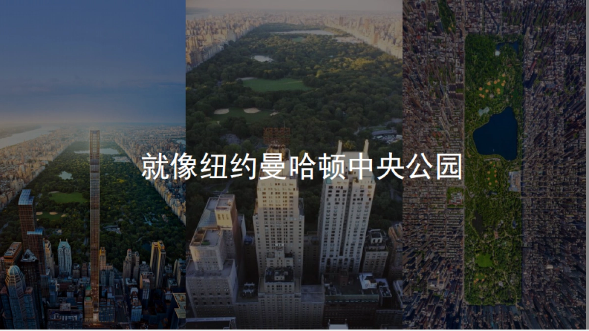 2021润达翠湖公园项目首开前推广策略方案-温拿传播_第4页