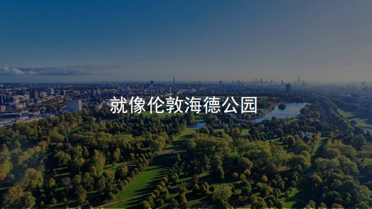 2021润达翠湖公园项目首开前推广策略方案-温拿传播_第5页