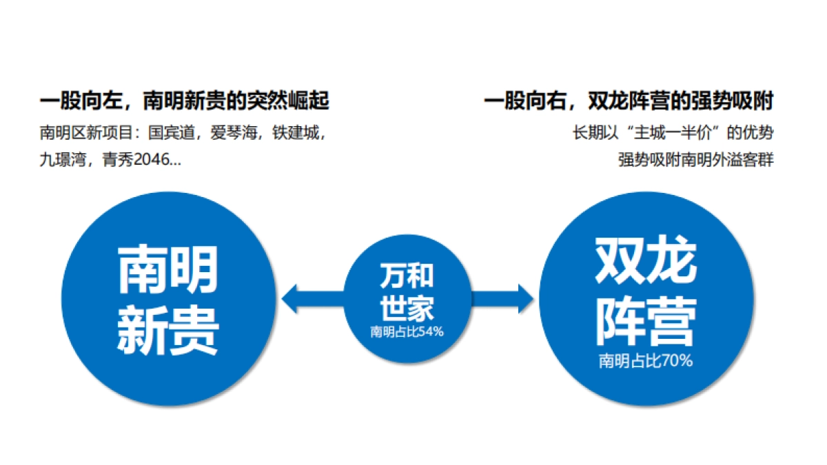 2021万和世家溢年度推广策略方案_第8页