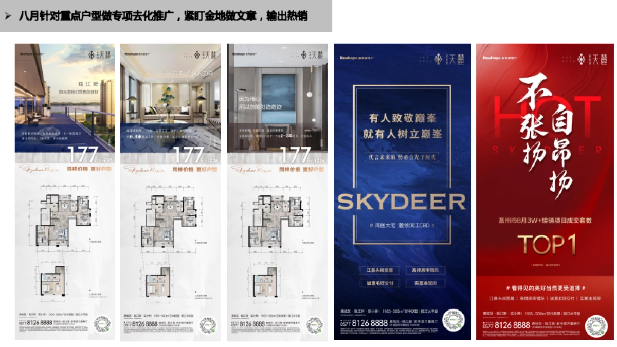 2021新希望天麓年度推广方案-71P_第10页