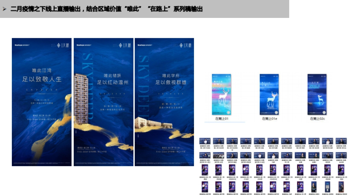 2021新希望天麓年度推广方案-71P_第4页