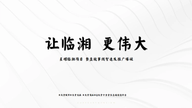 2021星耀临湘项目整盘故事线智造及推广爆破方案-91P