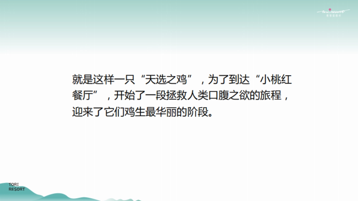 2022桃胶鸡故事线传播推广方案-21P_第6页