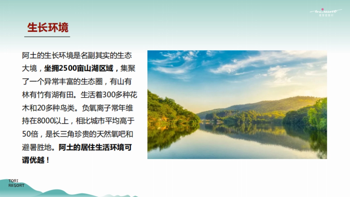 2022桃胶鸡故事线传播推广方案-21P_第8页