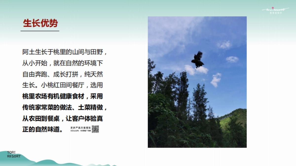 2022桃胶鸡故事线传播推广方案-21P_第9页