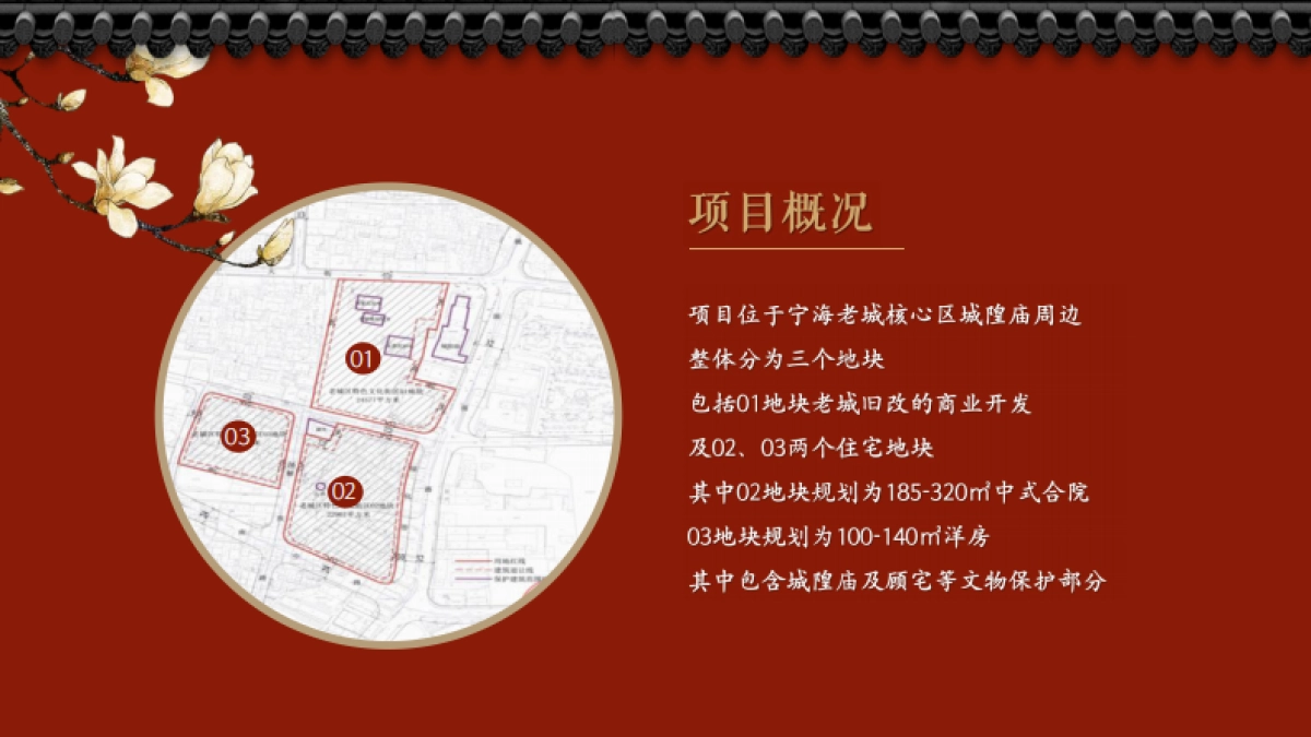 宝龙宁海项目推广策略提报方案_第2页