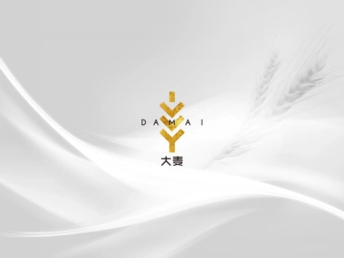 大麦传播-美的+雅居乐云筑推广方案（最终定稿)