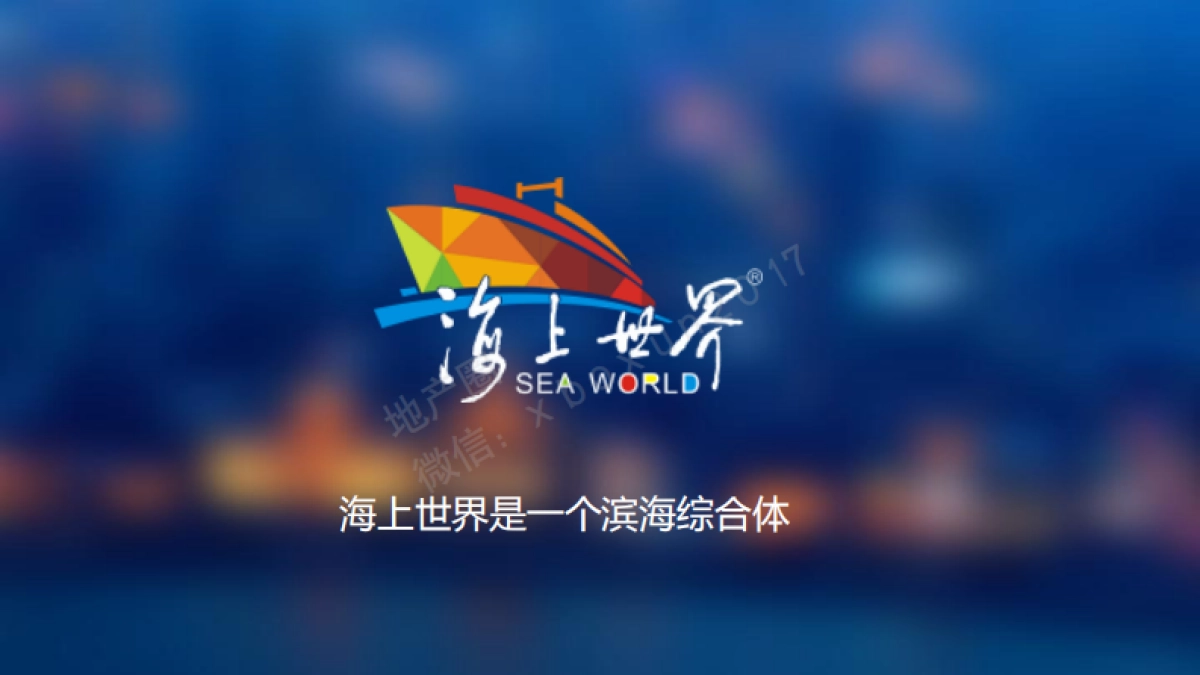 道里-海上世界商业运营推广策略_第10页