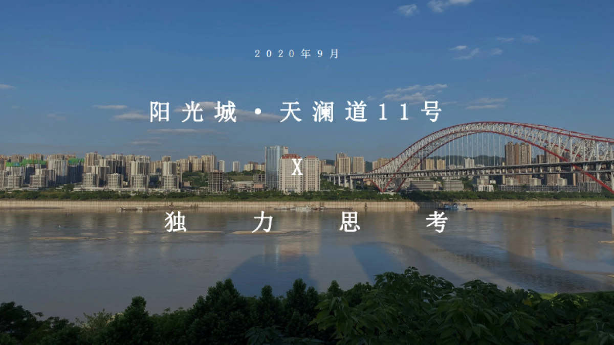 独立思考-阳光城·天澜道11号项目年度推广方案-154P_第2页