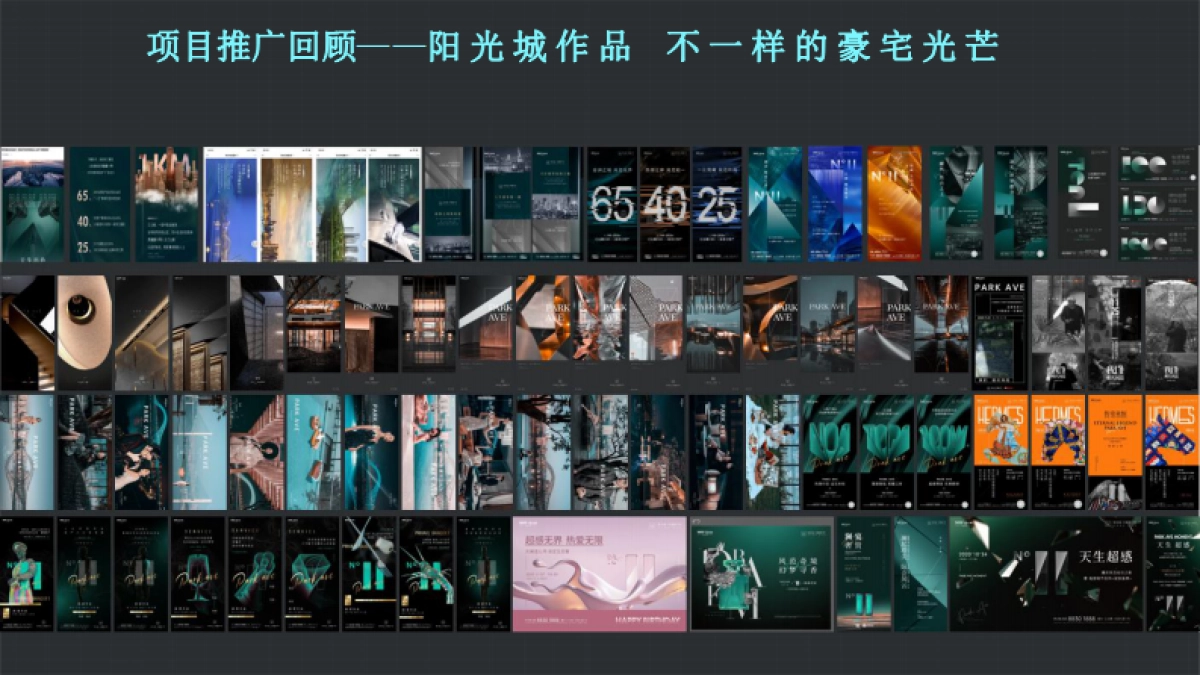 独立思考-阳光城·天澜道11号项目年度推广方案-154P_第5页