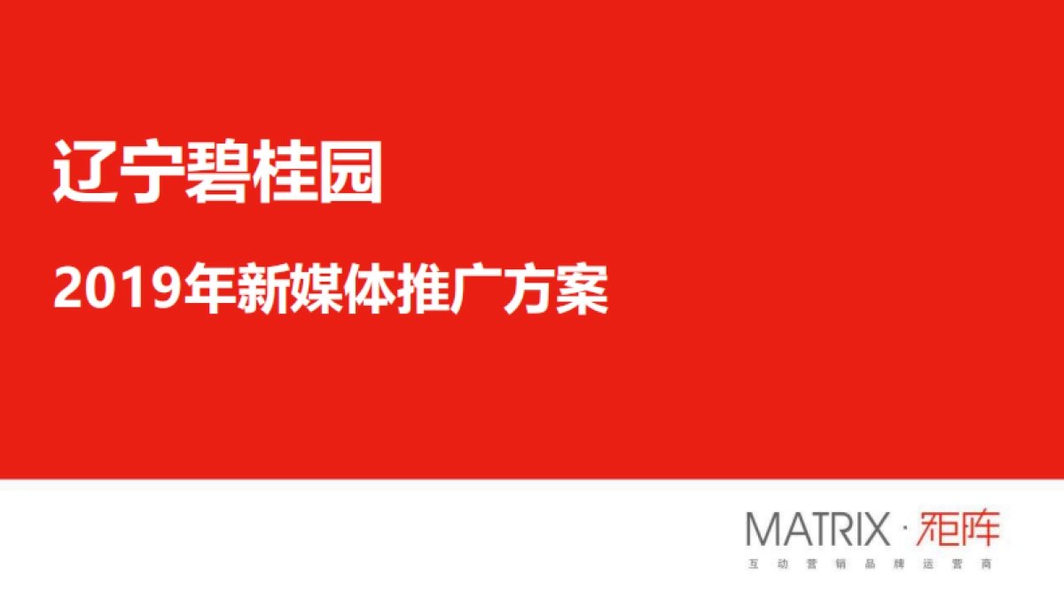 辽宁碧桂园年度新体推广炒作方案_第1页