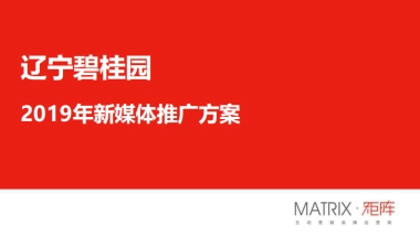 辽宁碧桂园年度新体推广炒作方案
