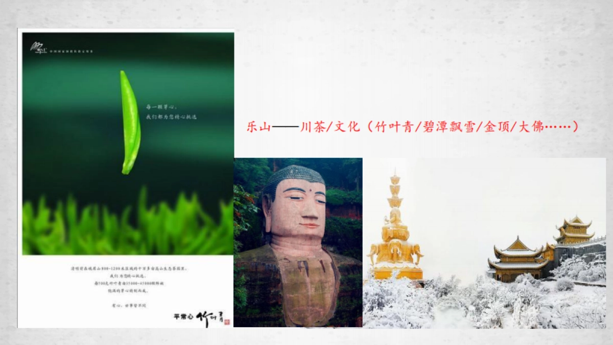 泸州天下川江推广思考_第9页