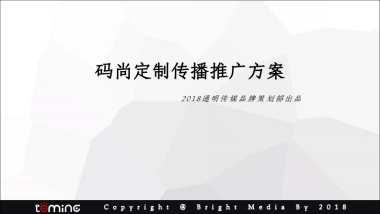 码尚定制传播推广全案