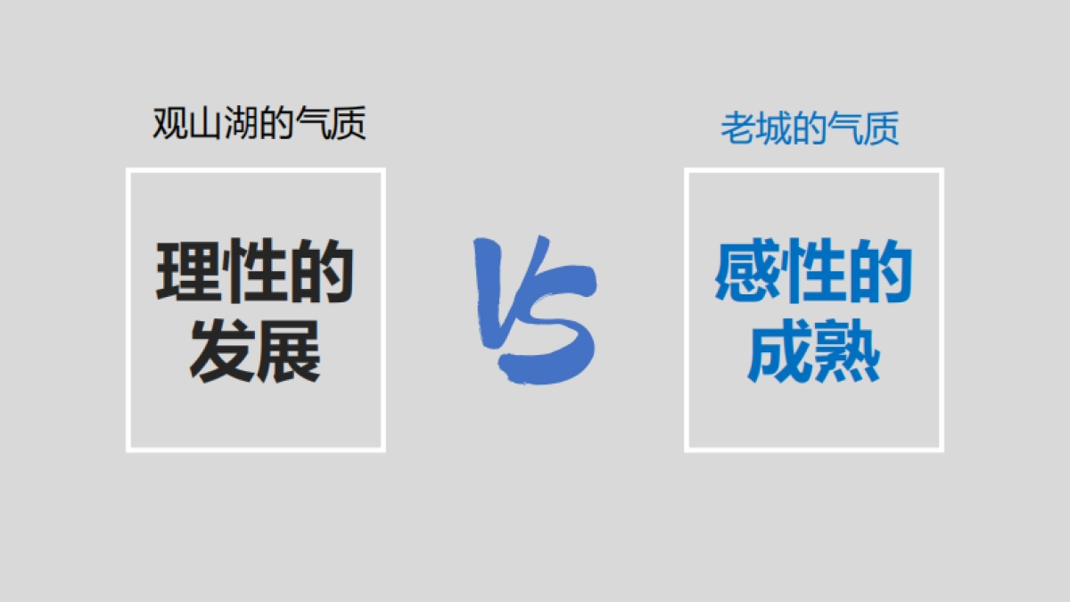 红星观山天铂推广策略提报方案-164P_第10页