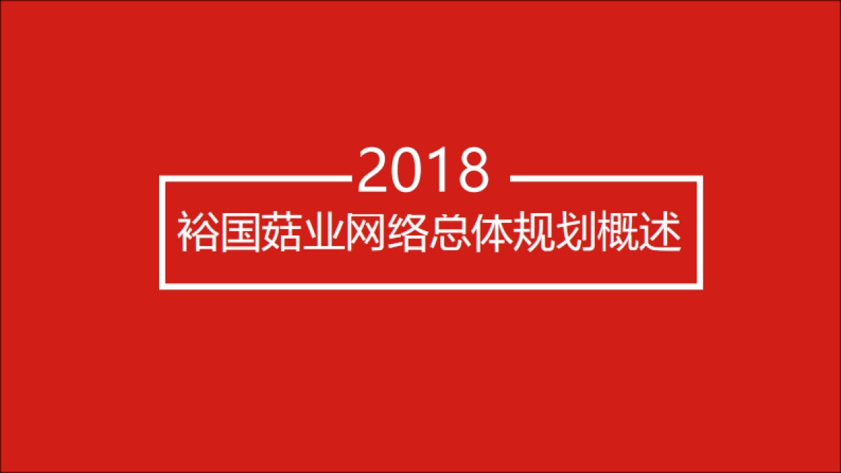 湖北裕国股份年度网络运营及推广方案_第2页
