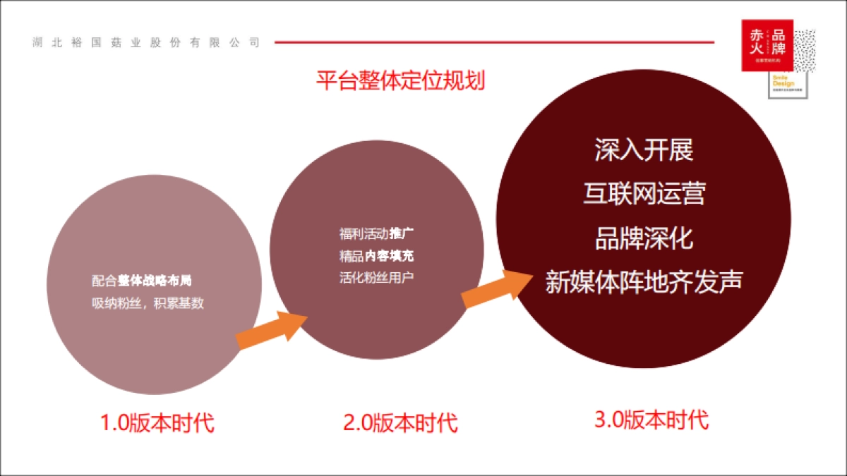湖北裕国股份年度网络运营及推广方案_第3页