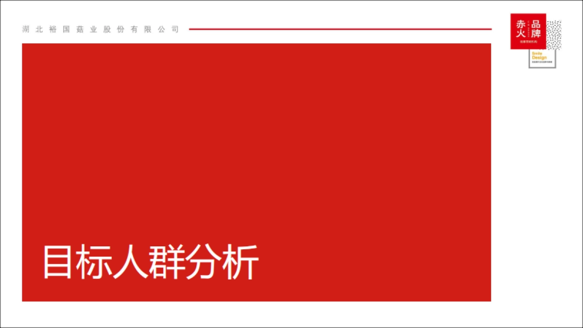 湖北裕国股份年度网络运营及推广方案_第6页