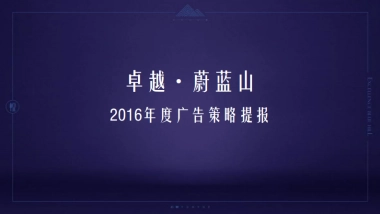 及时沟通-卓越蔚蓝山年度推广策略提报