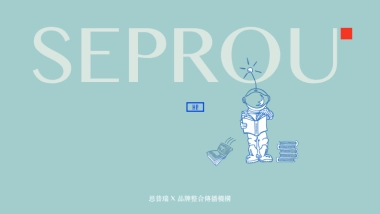 蓝润置地广场年度推广方案