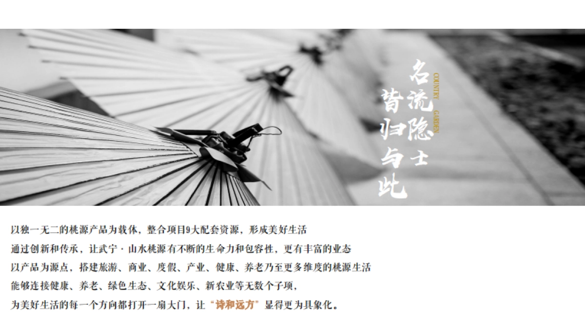 武宁·山水桃源提报江南山水小镇推广思考_第9页