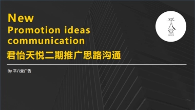 平八堂-佛山君怡天悦二期推广思路沟通