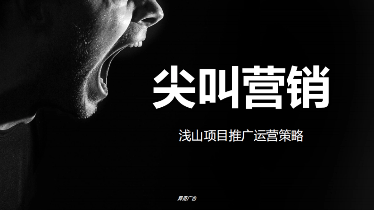 浅山文旅项目推广运营策略方案-214P_第1页